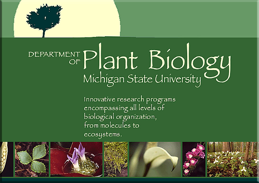 stanford plant biology phd